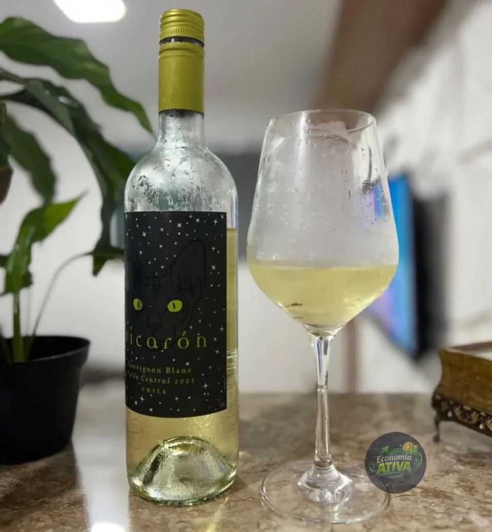 Vinho Chileno Picarón Sauvignon Blanc 750ml