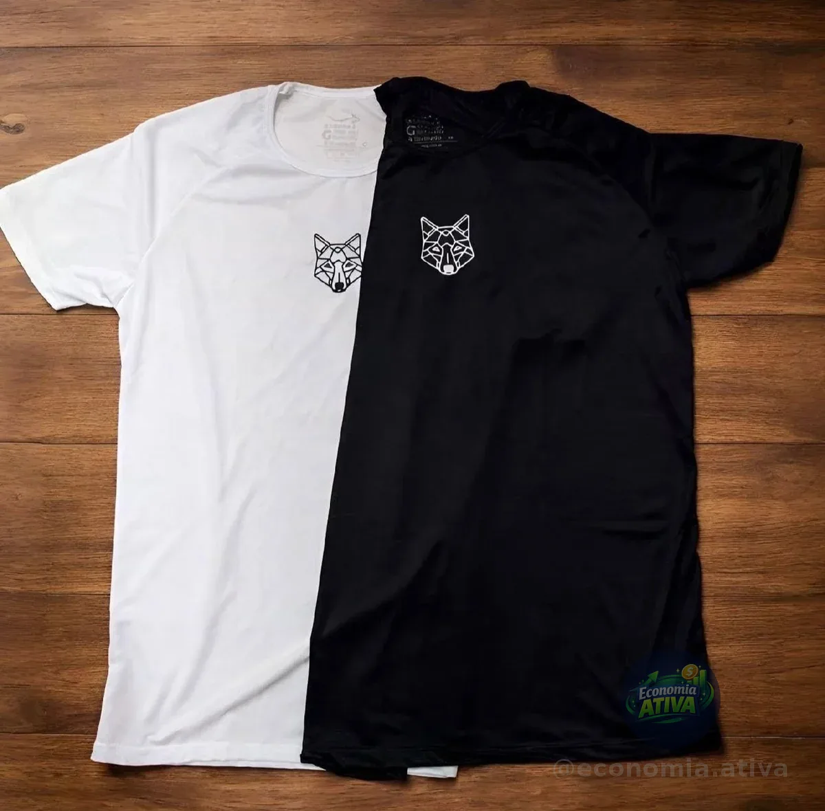 Kit 2 Camisetas Masculina Dry Alpha