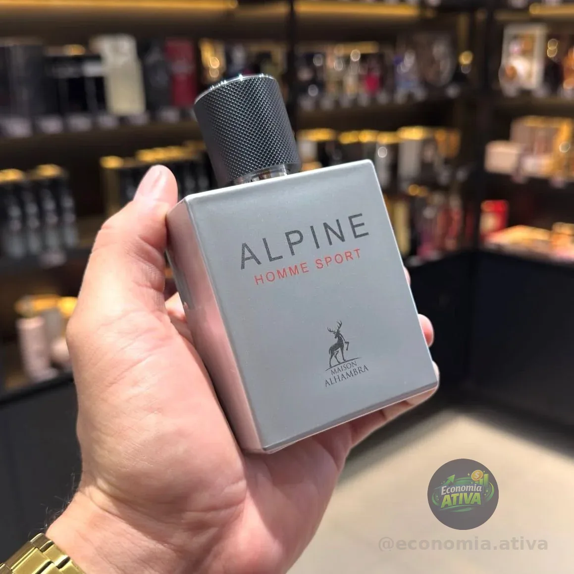 Alpine Homme Sport 100ml Edp
