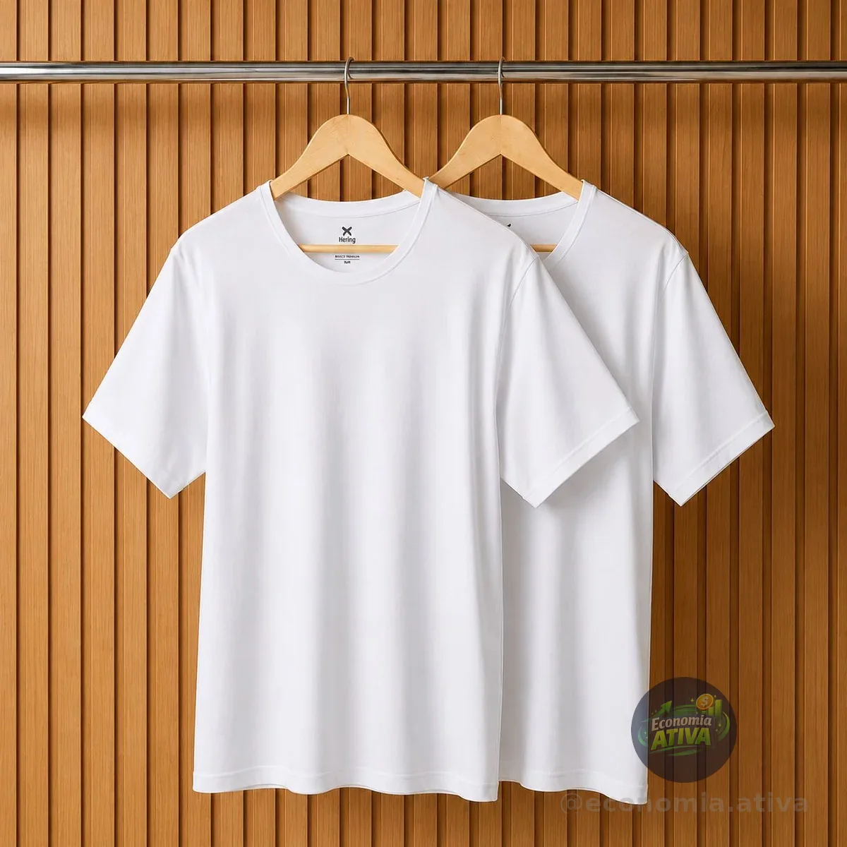 Kit Com 2 Camisetas Masculinas Básicas Relaxed Hering Adulto