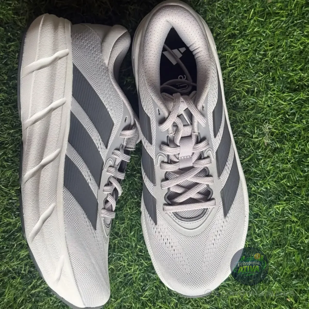 Tênis Adidas Questar 4