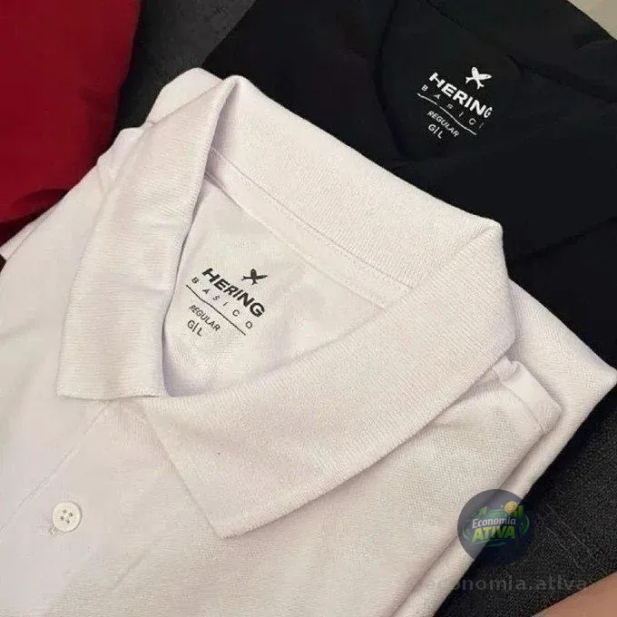 Kit 2 Camisas Polo Hering