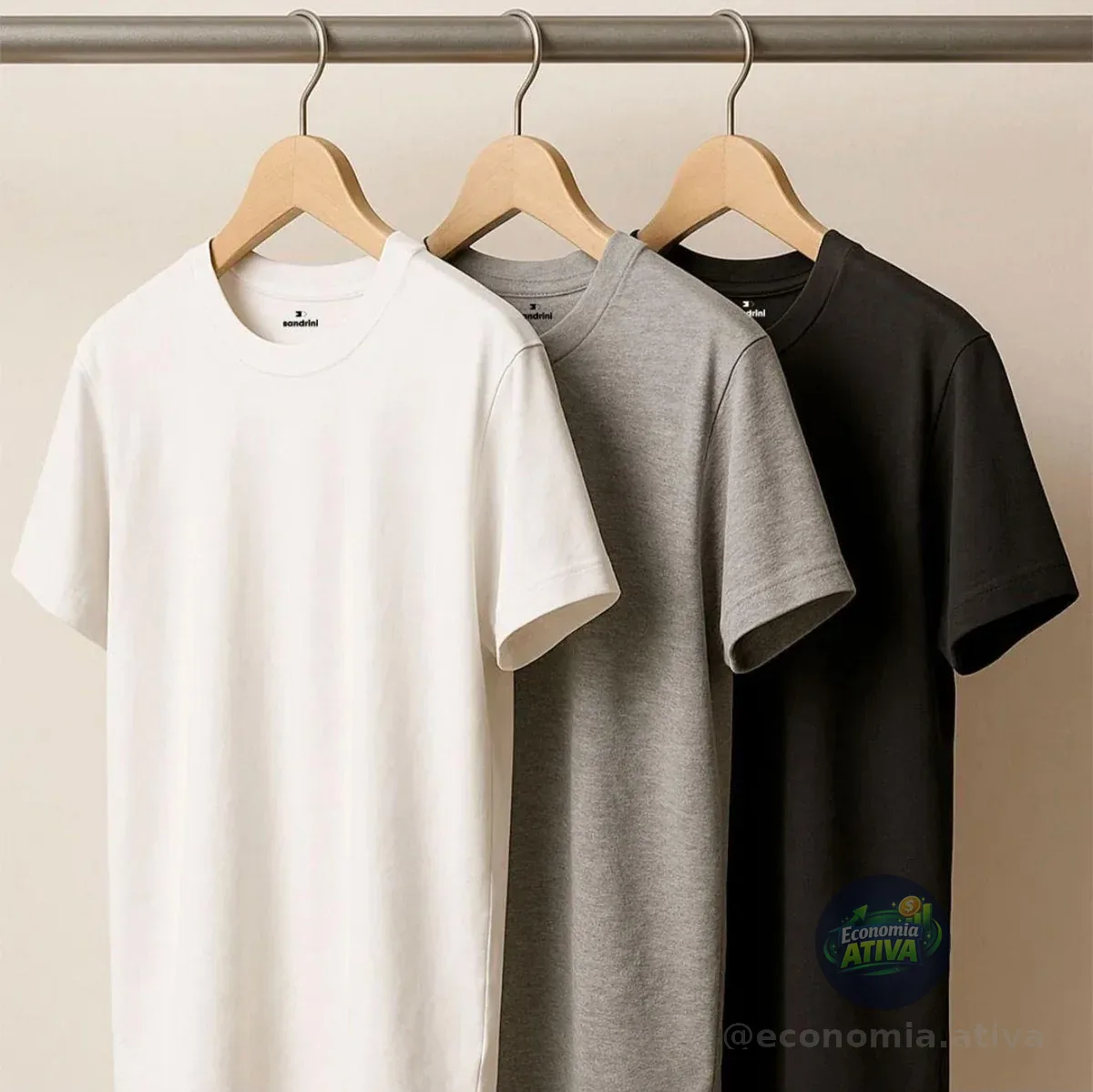 Kit 6 Camisetas Algodão Dia Dia Sandrini