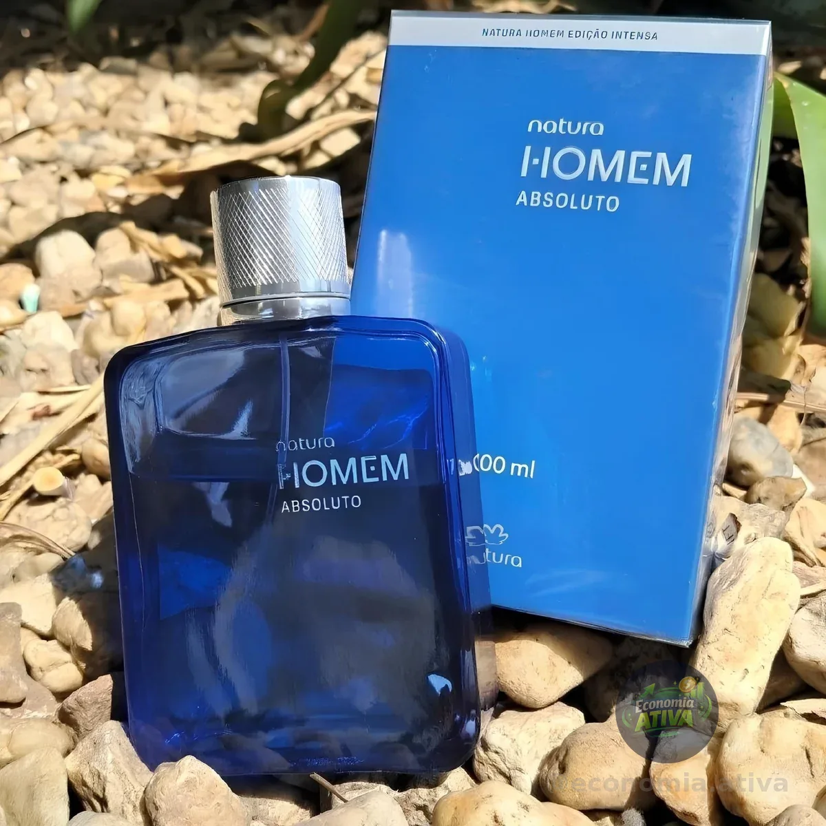 Perfume Natura Homem Absoluto Edp 100ml