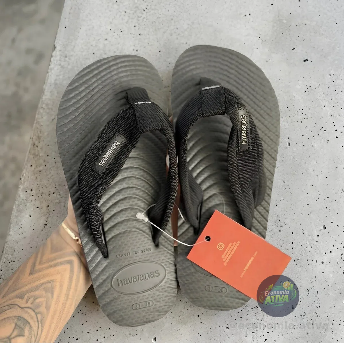 Surfer Coast Havaianas (3 cores)