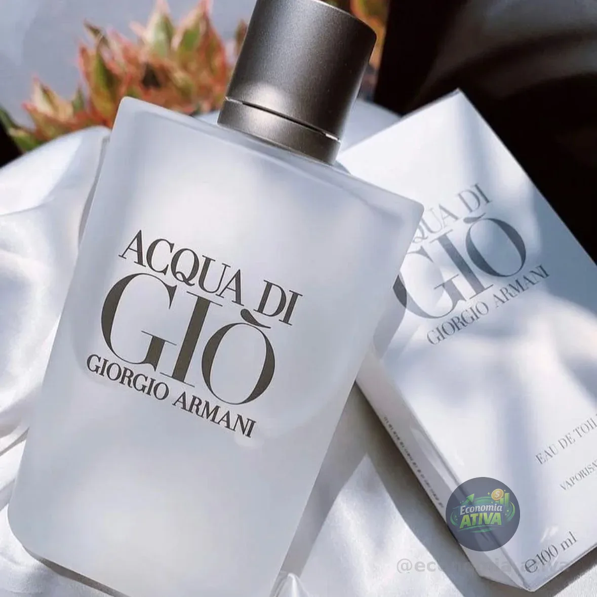 Perfume Masculino Edt Acqua Di Giò Giorgio Armani 100ml
