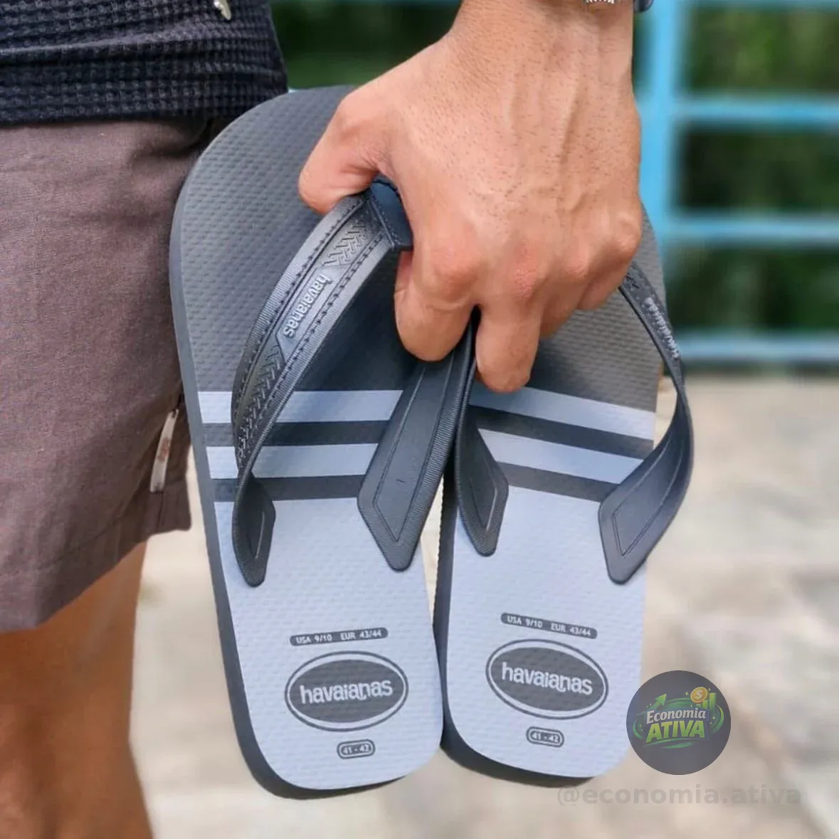 Chinelo City Basic Havaianas (3 cores)