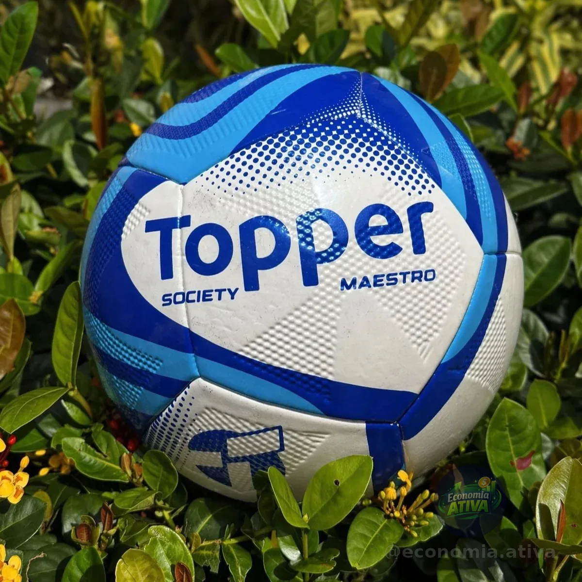 Bola Topper Society Maestro (2 cores)