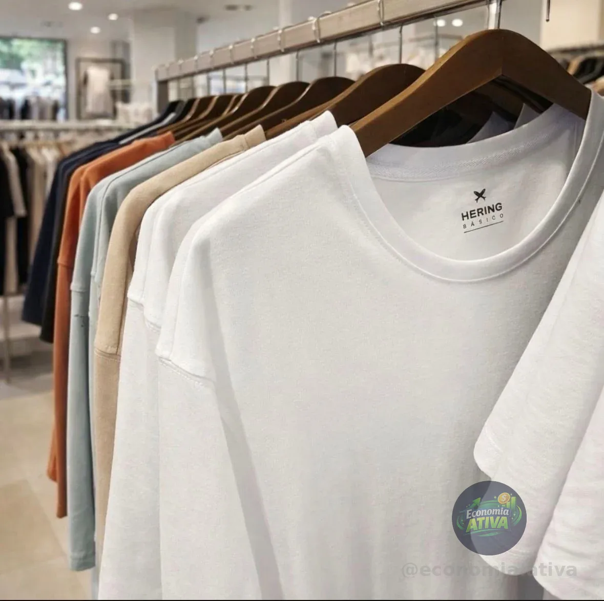 Kit 5 Camisetas Básicas Masculinas (P e M)