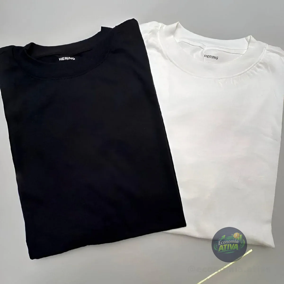 Kit Com 2 Camisetas Masculinas Básicas Relaxed Hering