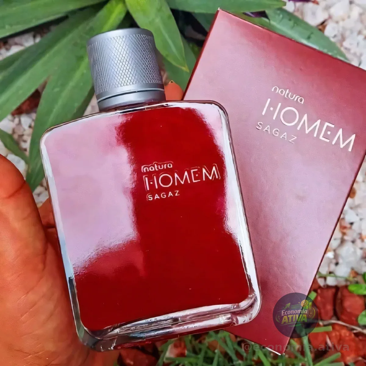 Natura Homem Sagaz 100 Ml Deo Parfum