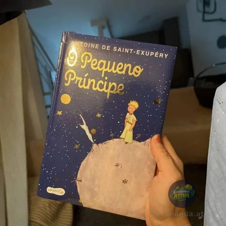 ESSE VALE A LEITURA, pequeno príncipe
