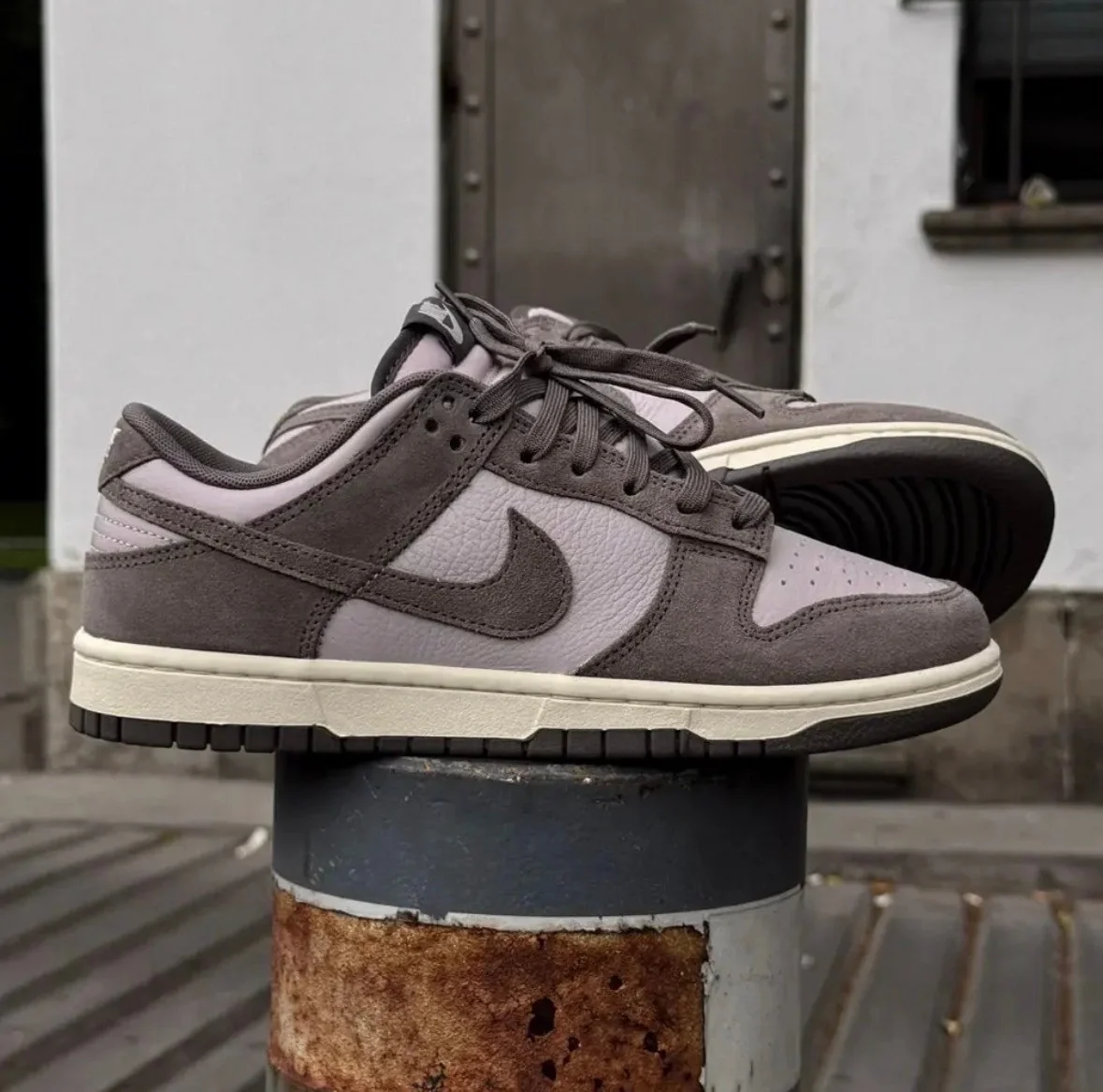 Dunk Low SE