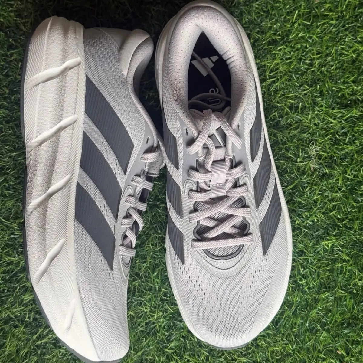 Tênis Adidas Questar 4