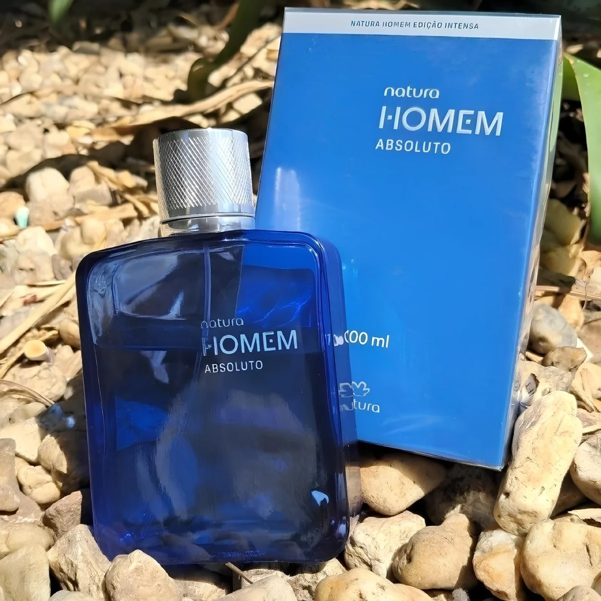 Perfume Natura Homem Absoluto Edp 100ml