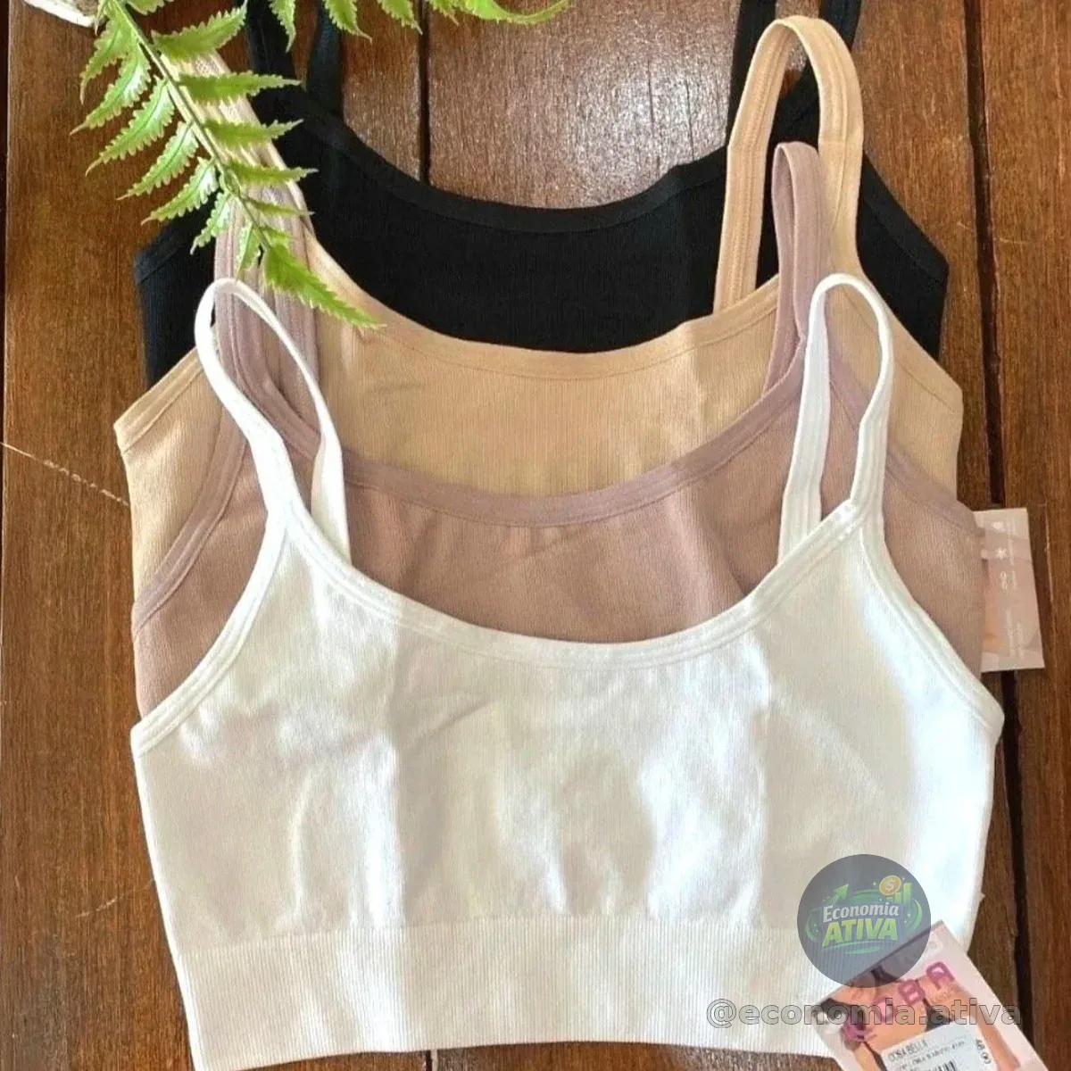 *TOP OFICIAL DAS RATINHAS DE ACADEMIA*