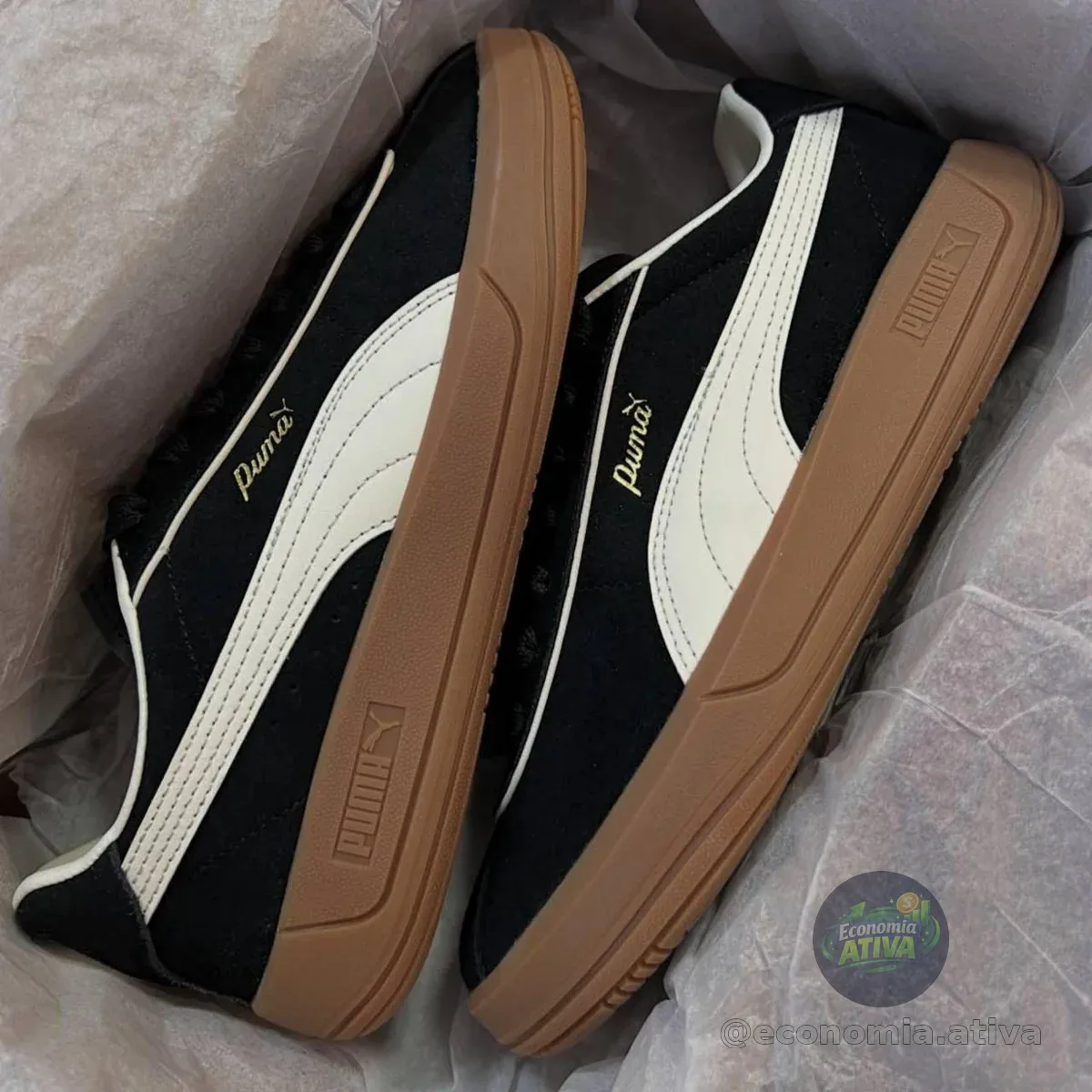 *TIGRINHO PRA ELAS*🙋‍♀️