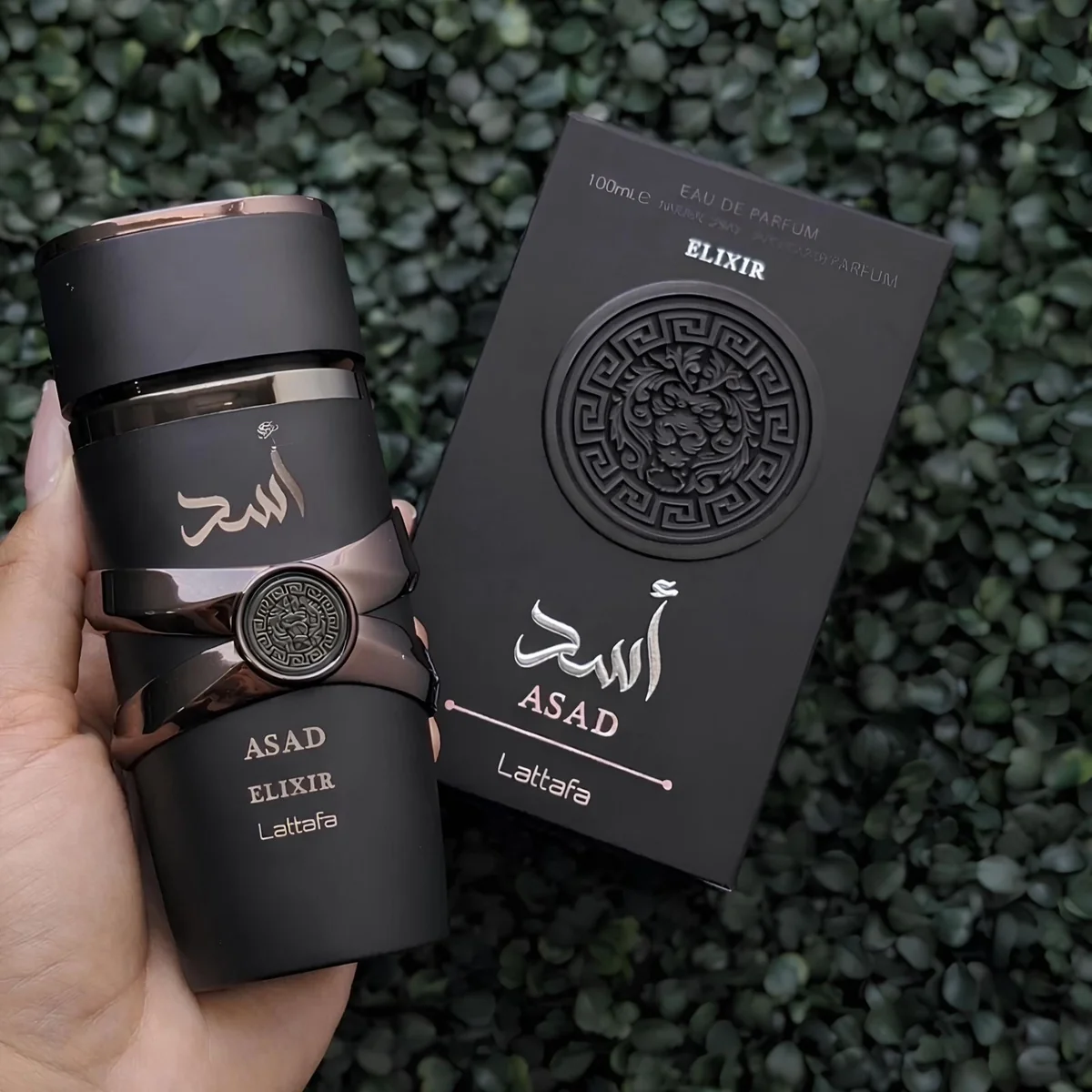 Perfume Asad Elixir EDP 100ml EDP
