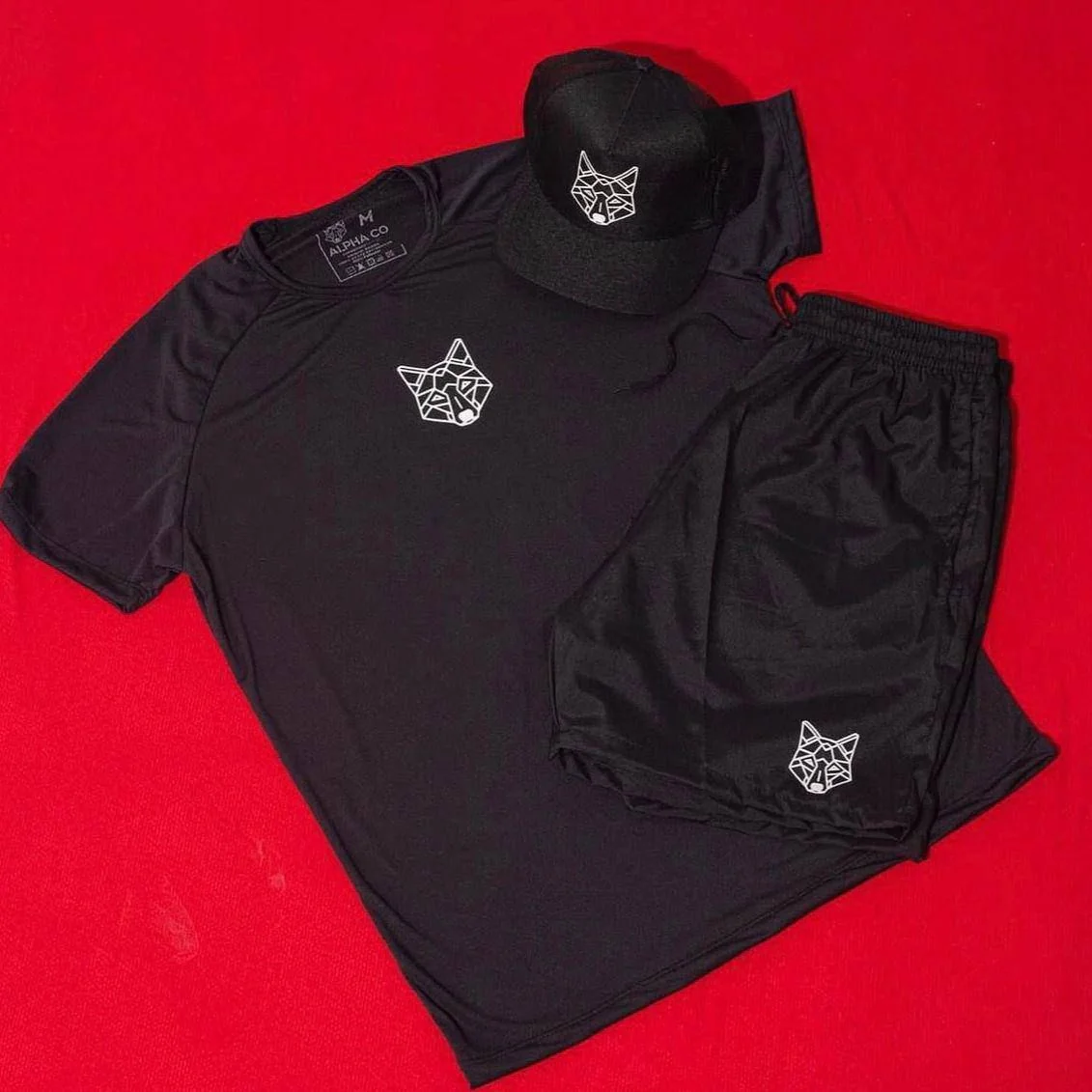 Kit Bermuda + camiseta Lobo Dry Alpha