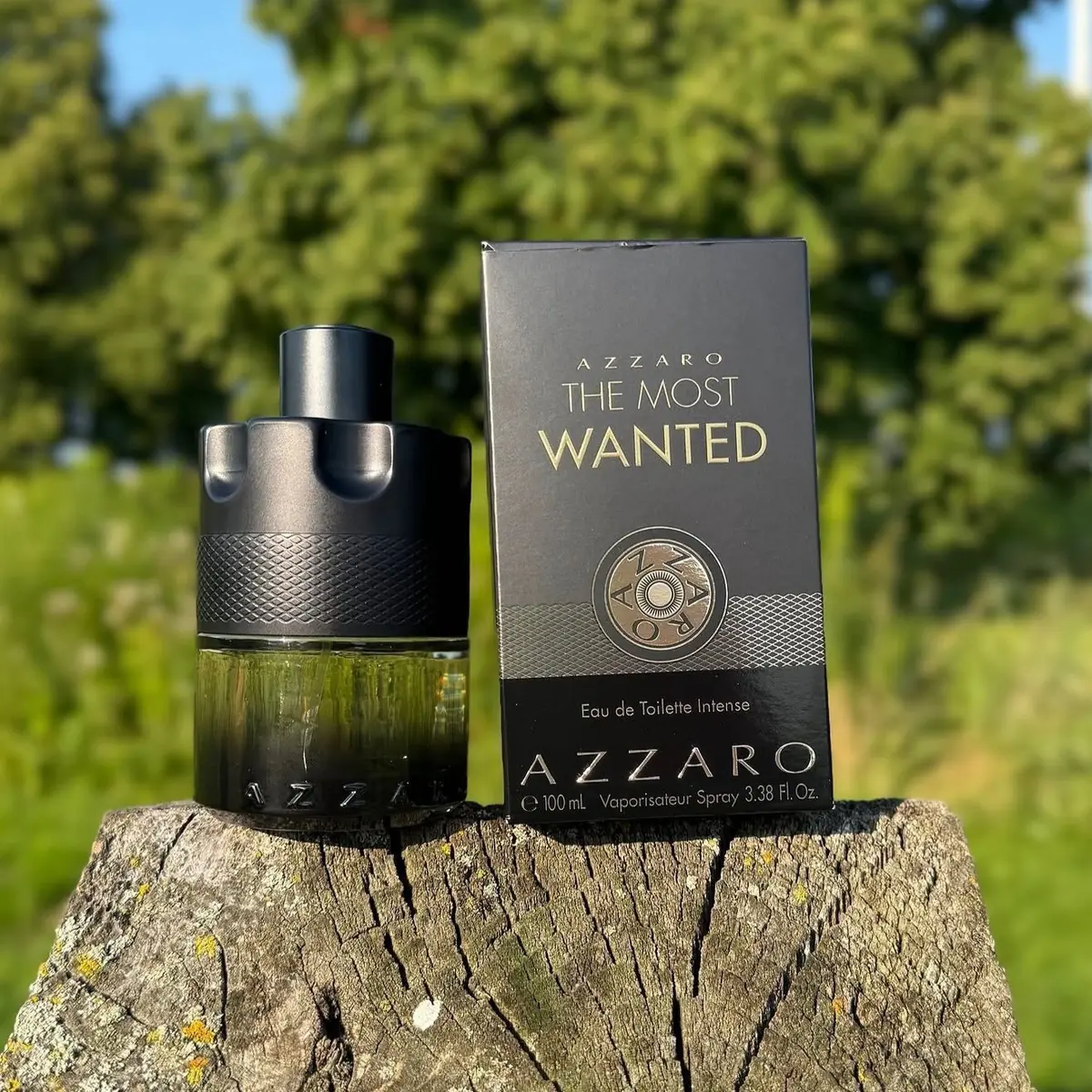 Percebe Azzaro The Most Wanted Intense 100ml