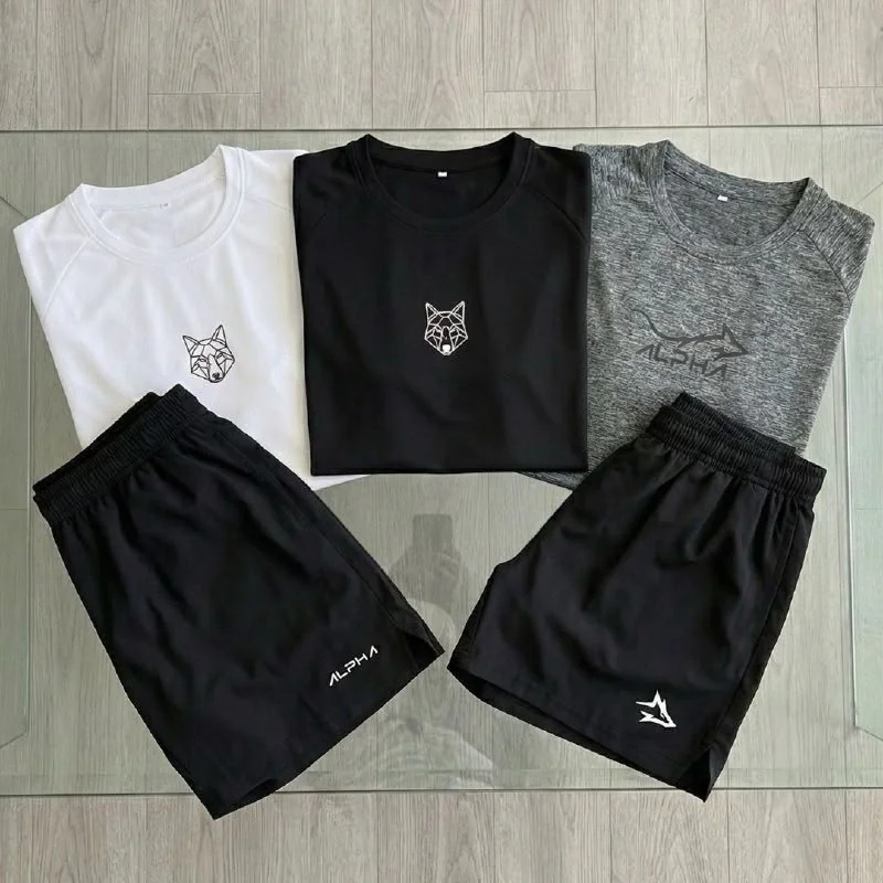 Kit 5 Peças Dry Fit 3 Camisetas e 2 Bermudas Alpha Co