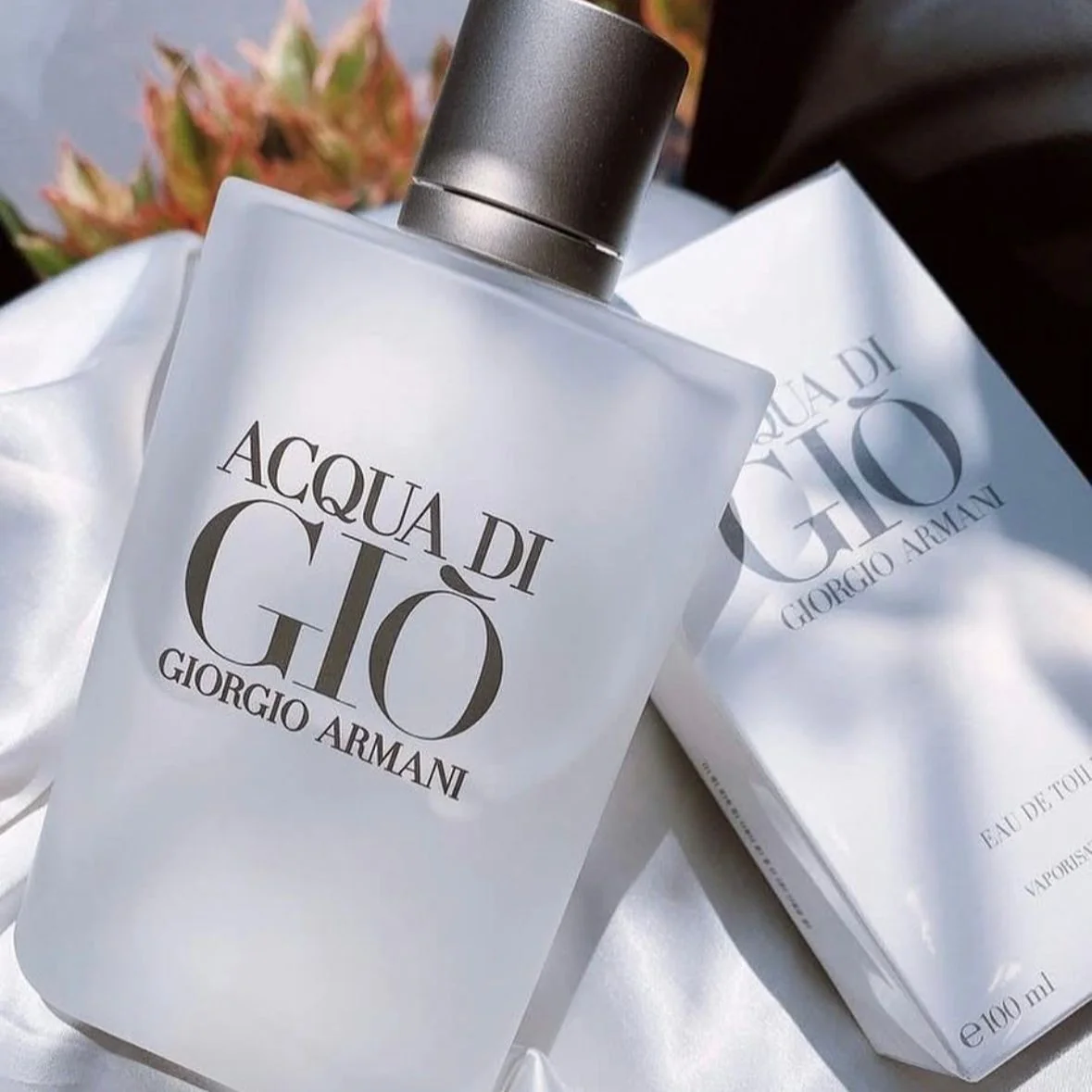Perfume Masculino Edt Acqua Di Giò Giorgio Armani 100ml