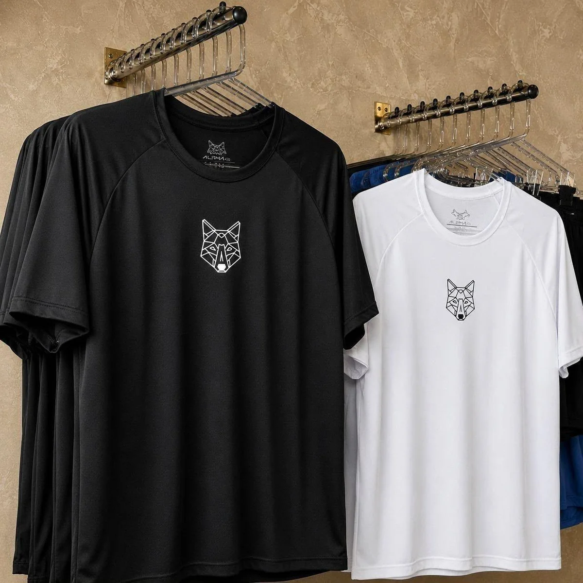 Kit 2 Camisetas Masculina Dry Alpha Co